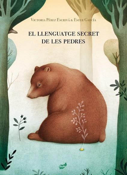 EL LLENGUATGE SECRET DE LES PEDRES | 9788418702013 | VICTORIA PEREZ ESCRIVA / ESTER GARCIA