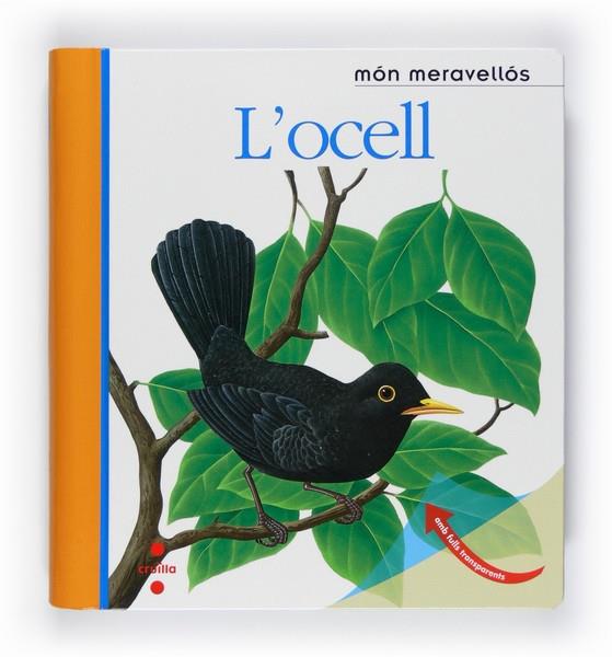 L'OCELL | 9788466125161