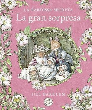 LA GRAN SORPRESA | 9788418733673 | JILL BARKLEM