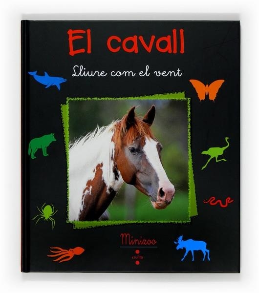 EL CAVALL. LLIURE COM EL VENT | 9788466120043 | TRACQUI