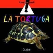 LA TORTUGA | 9788498253764 | ELISENDA QUERALT / JOAQUIM SOLER / ALBERT MARTÍNEZ