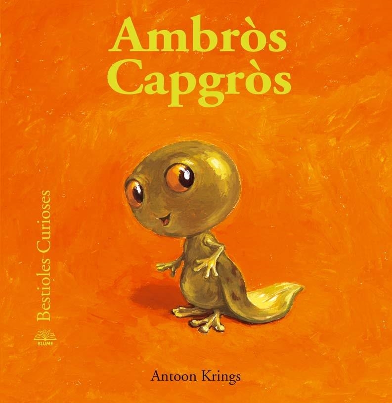 AMBRÒS CAPGRÒS | 9788498014129 | ANTOON KRINGS