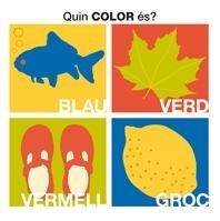 QUIN COLOR ES? | 9788424636609