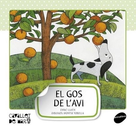 EL GOS DE L'AVI | 9788415095507 | ENRIC LLUCH