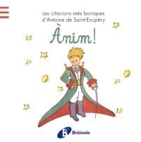 ANIM! | 9788499064178 | ANTOINE DE SAINT-EXUPERY