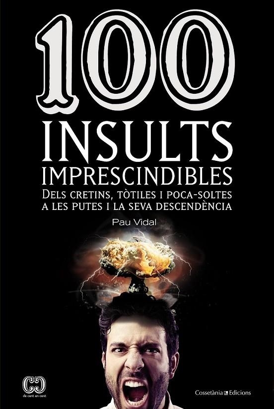 100 INSULTS IMPRESCINDIBLES | 9788490341896 | PAU VIDAL