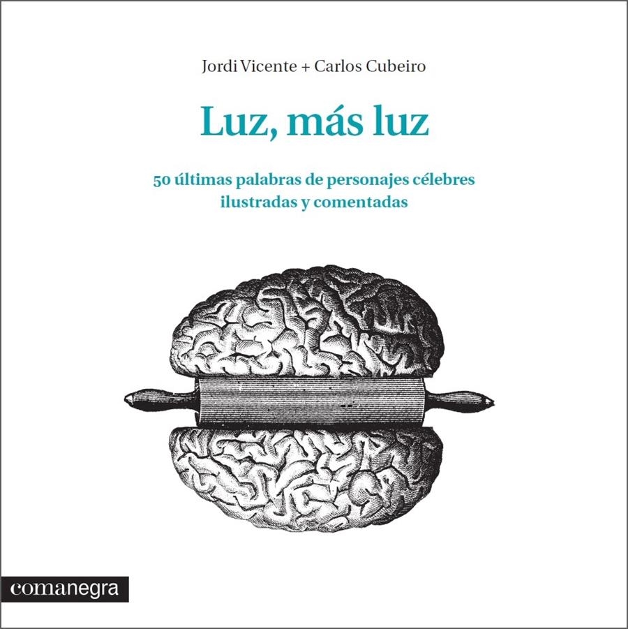 LUZ MAS LUZ 50 ULTIMAS PALABRAS DE PERSONAJES CELEBRES ILUST | 9788416033348 | JORDI VICENTE / CARLOS CUBEIRO