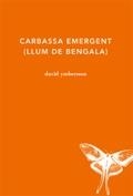 CARBASSA EMERGENT (LLUM DE BENGALA) | 9788494433023 | DAVID YMBERNON