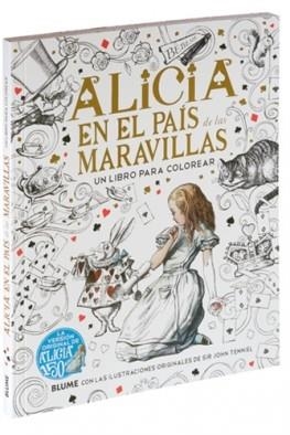 ALICIA AL PAIS DE LES MERAVELLES PER PINTAR | 9788498019025