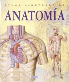 ATLAS ILUSTRADO DE ANATOMIA | 9788430534784 | ADRIANA RIGUTTI