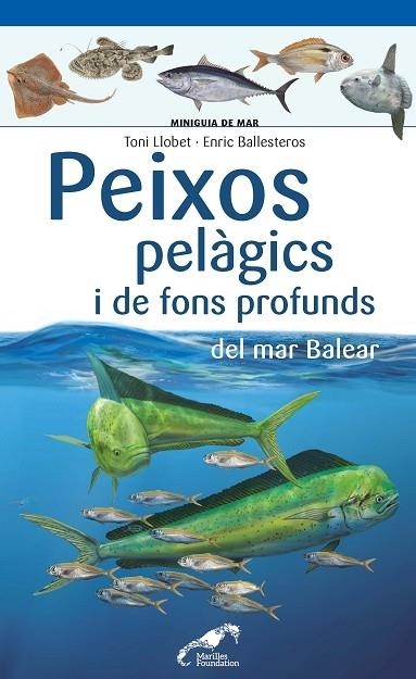 PEIXOS PELAGICS I DE FONS PROFUNDS DEL MAR BALEAR | 9788490349397 | TONI LLOBET - ENRIC BALLESTEROS