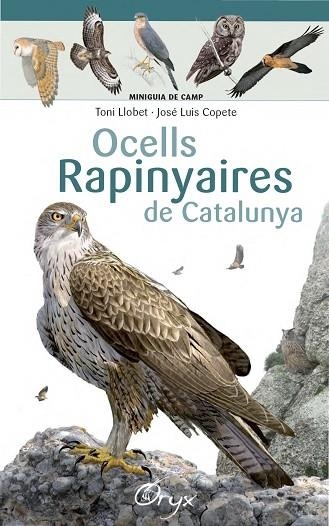 OCELLS RAPINYAIRES DE CATALUNYA | 9788490346785 | TONI LLOBET / JOSE LUIS COPETE