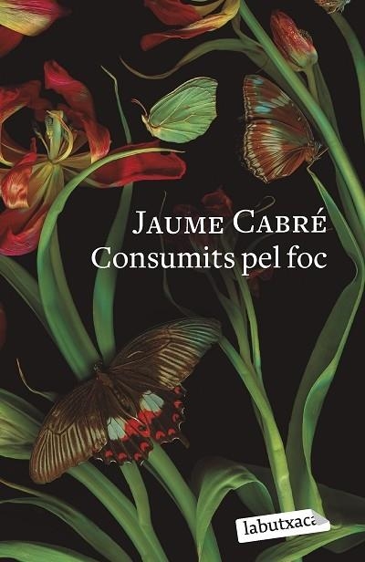 CONSUMITS PEL FOC | 9788419107206 | JAUME CABRE