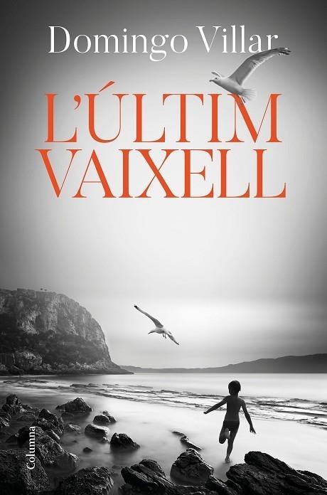 L'ULTIM VAIXELL | 9788466425490 | DOMINGO VILLAR