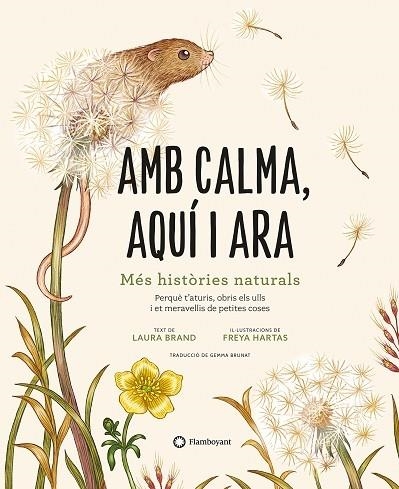 AMB CALMA, AQUI I ARA | 9788419401120 | LAURA BRAND / FREYA HARTAS